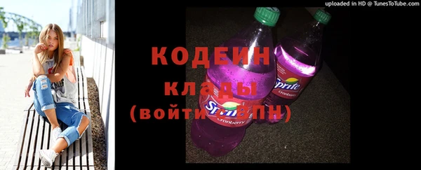 гашик Верея