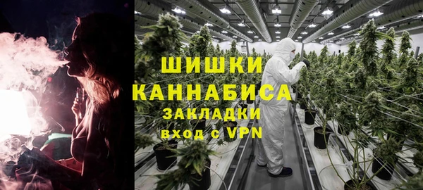 шишки Тутаев